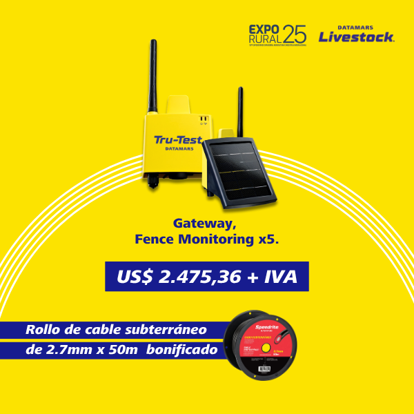Promo 3 Speedrite